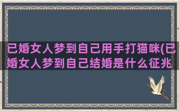 已婚女人梦到自己用手打猫咪(已婚女人梦到自己结婚是什么征兆 女性)